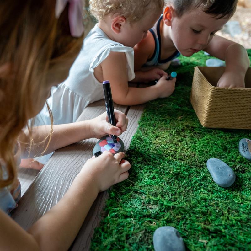 Palm Beach Zoo and Conservation Society