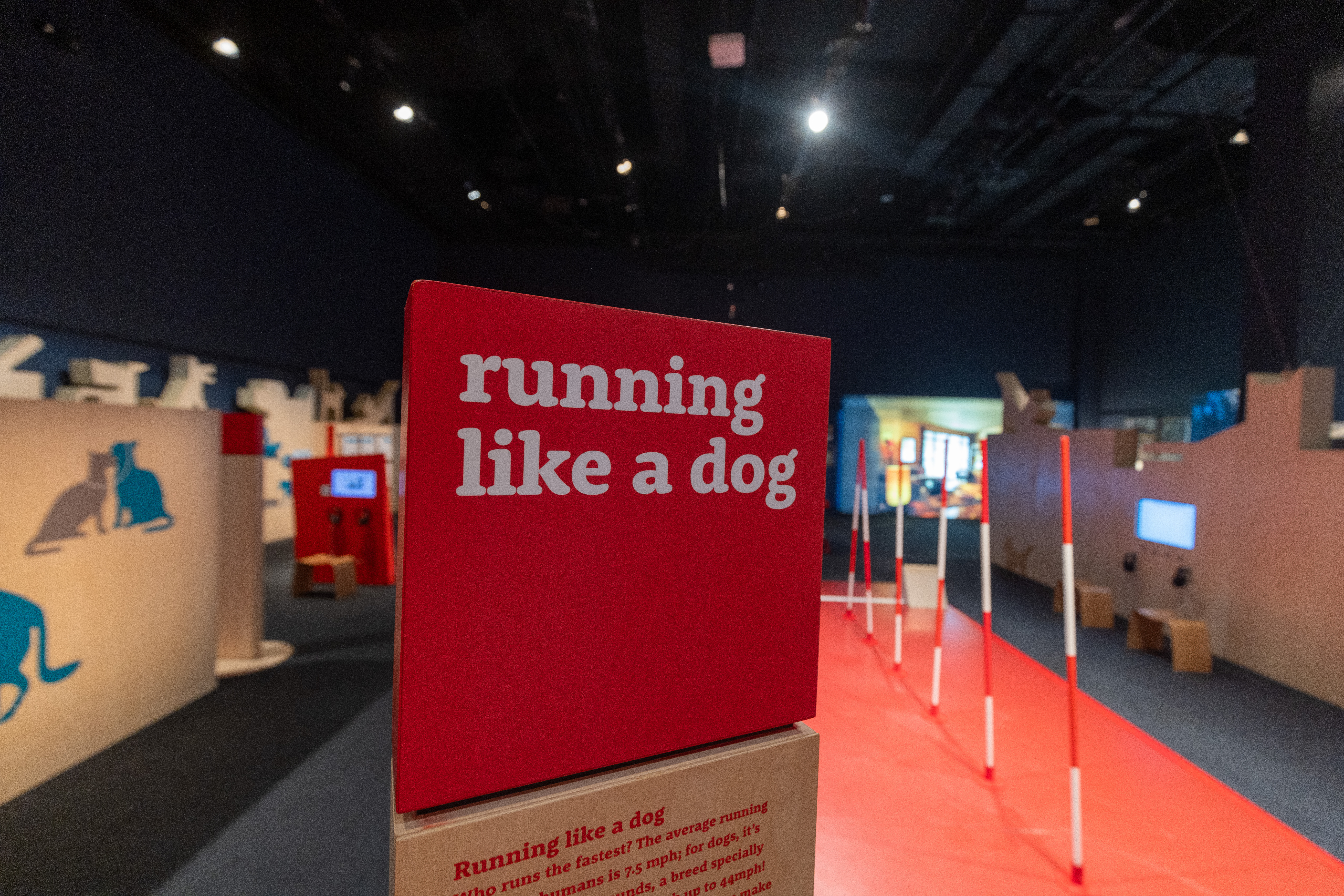 Cats & Dogs Exhibit at Cox Science Center & Aquarium